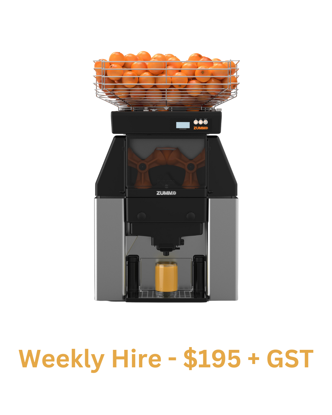 Zummo | Z40 Nature Adapt