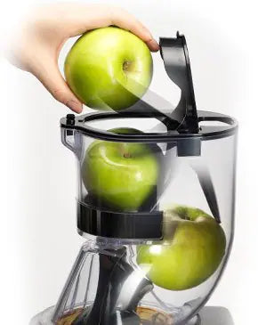 CS600 Commercial Juicer